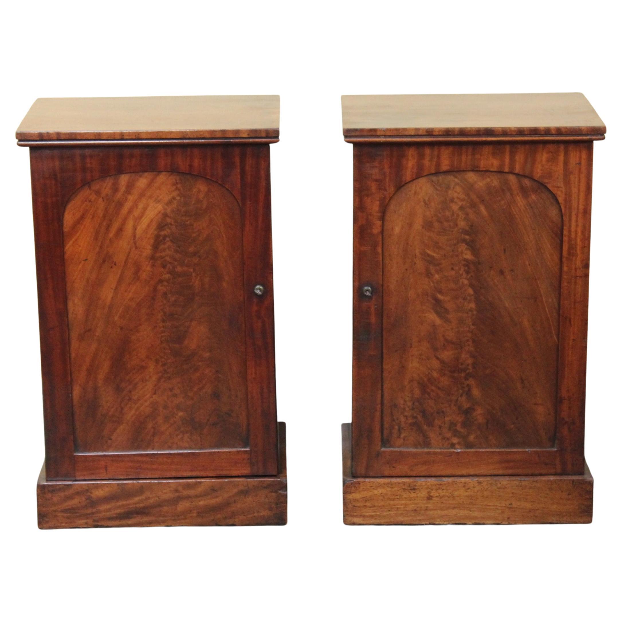 Pair of 19thc Mahogany Pedestal Bedside Cupboards For Sale