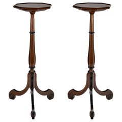 Pair of 20th Century Wood Plant Stands