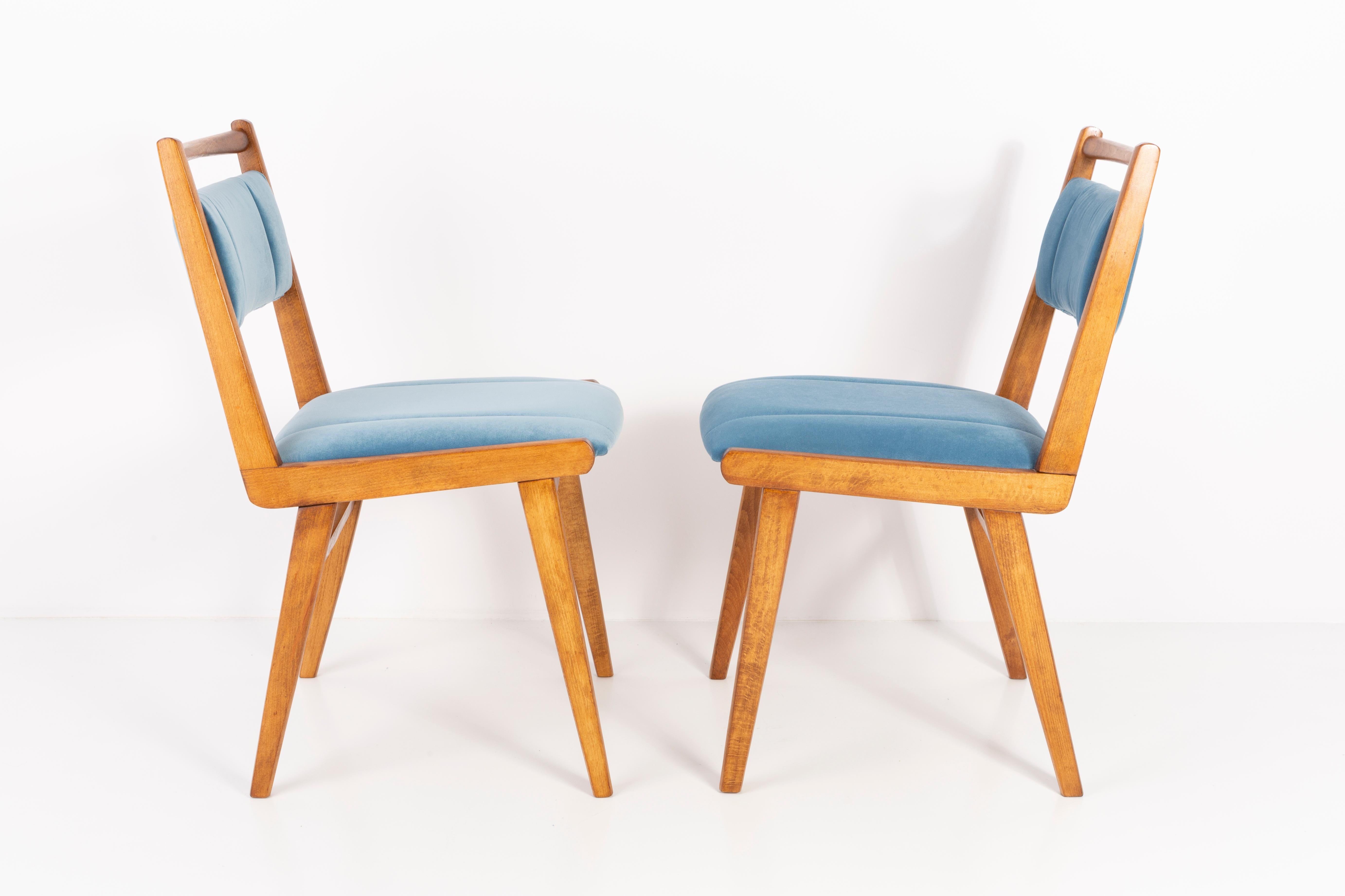 Stühle entworfen von Prof. Rajmund Halas. Es handelt sich um ein Modell vom Typ JAR. Hergestellt aus Buchenholz. Die Stühle sind komplett neu gepolstert, die Holzarbeiten wurden aufgefrischt. Sitz und Rückenlehne sind mit einem blauen (Nummer 31),