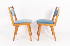 Pair of 20th Century Blue Velvet Chairs, Poland, 1960s