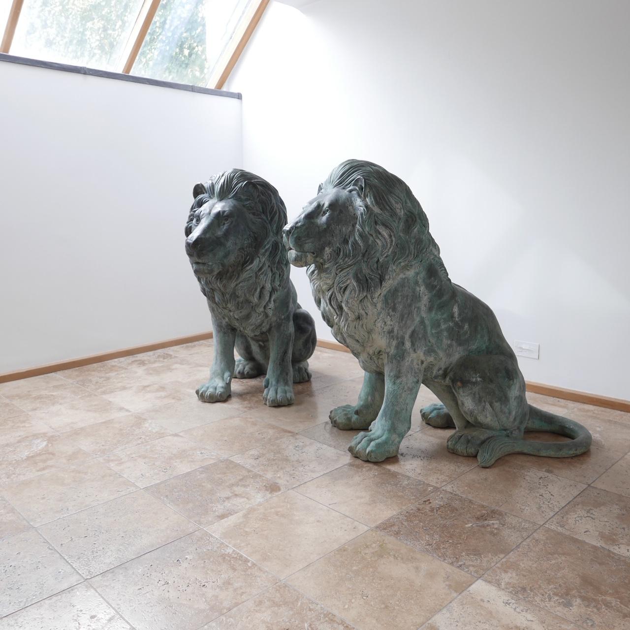 A pair of stunning substantial garden bronze lions, 

Italian, late 20th century. 

Stunning patina, size and quality. 

Dimensions: 140 D x 63 W x 127 H in cm.

Delivery: POA due to size. 

Collection or viewing can be arranged at our