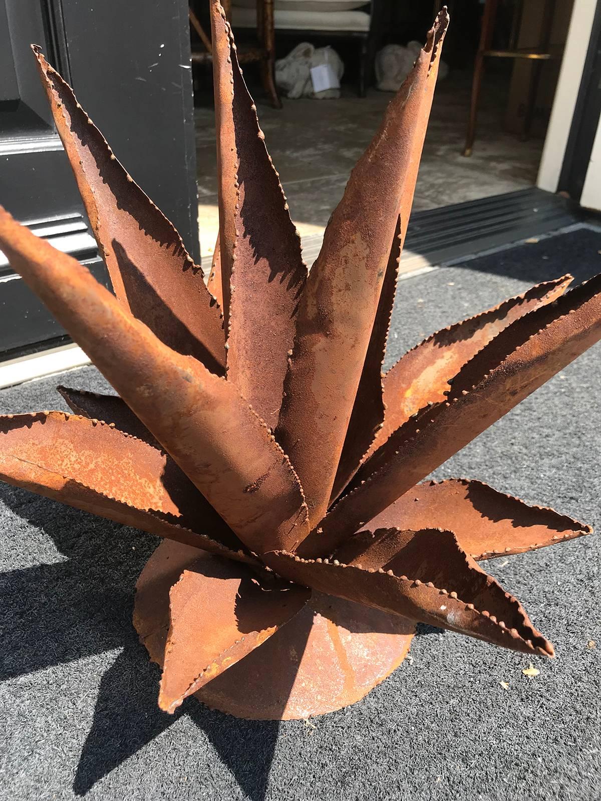 Pair of 20th Century Cacti In Good Condition In Atlanta, GA