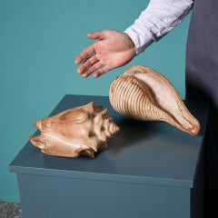 Pair of 20th Century Carved Hardwood Seashells