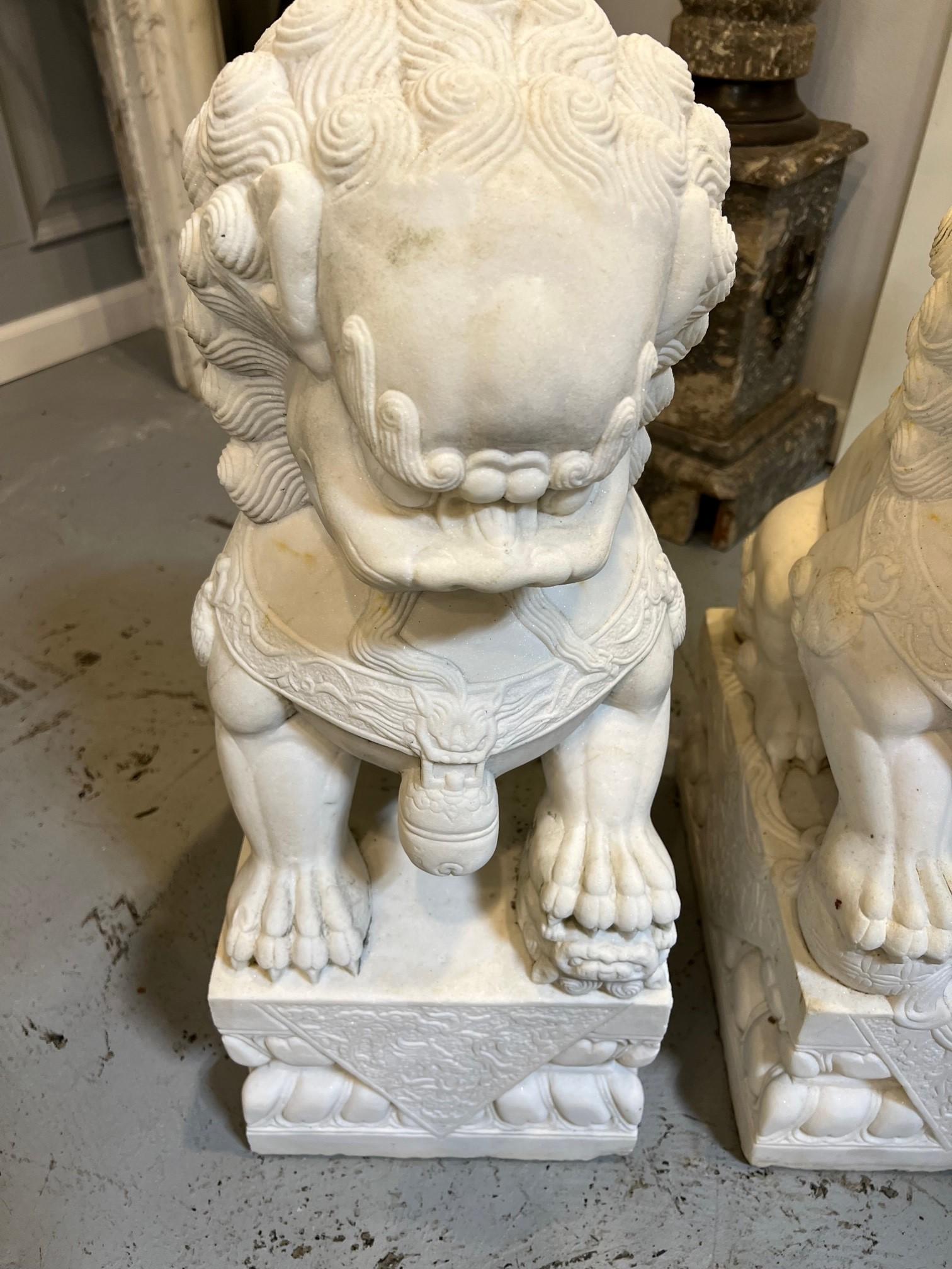 Pair of Marble Foo Dogs, always standing in pairs who serve as guardians to prevent harmful things from happening to the family. Foo Dogs are fantasy lions in Chinese mythology always a pair and always a male and female. The male, with a paw on a