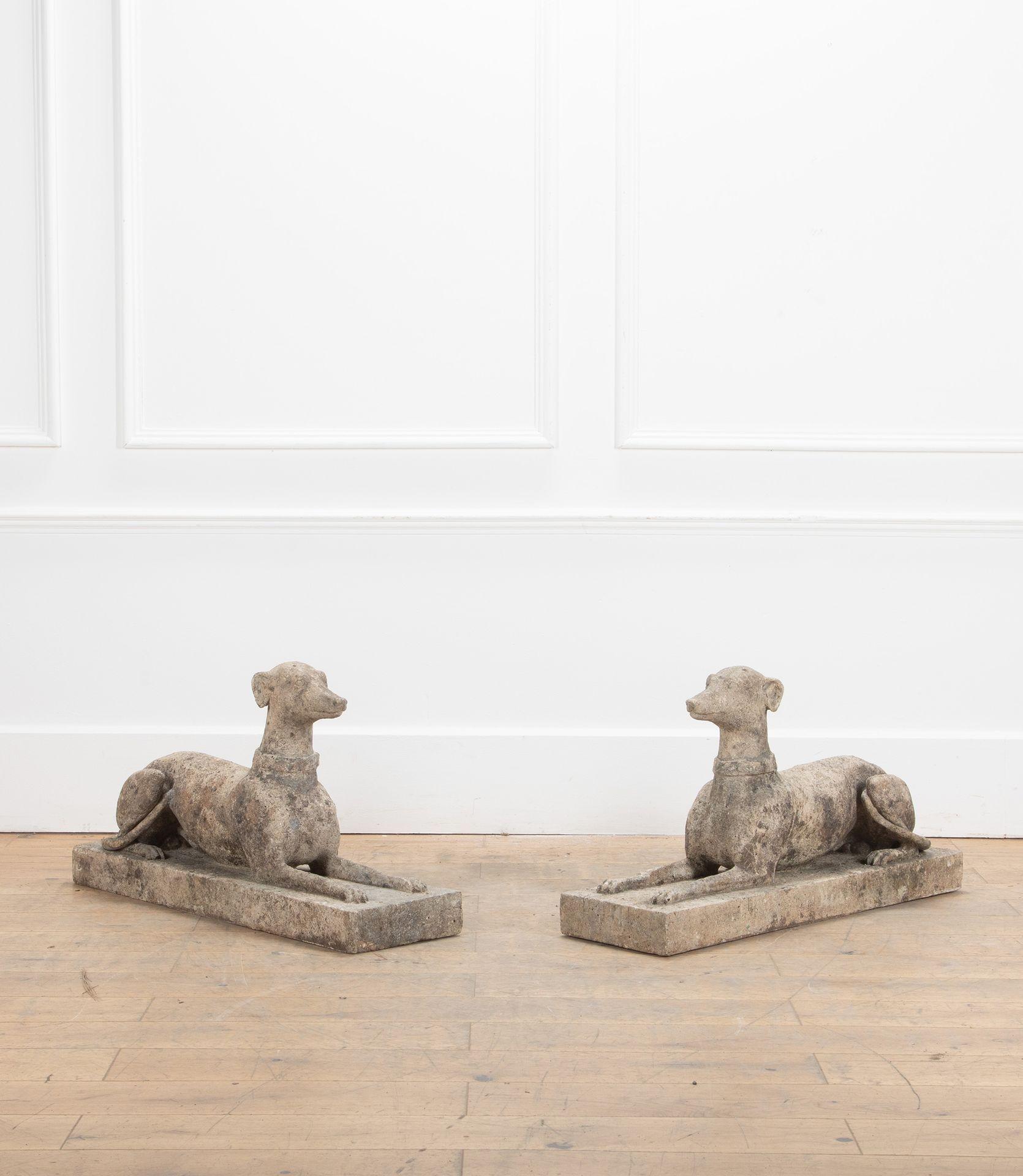 A decorative pair of early 20th century composite stone whippets.
After a model by Austin and Seeley.
They are a large scale model and are both beautifully weathered with old restorations.