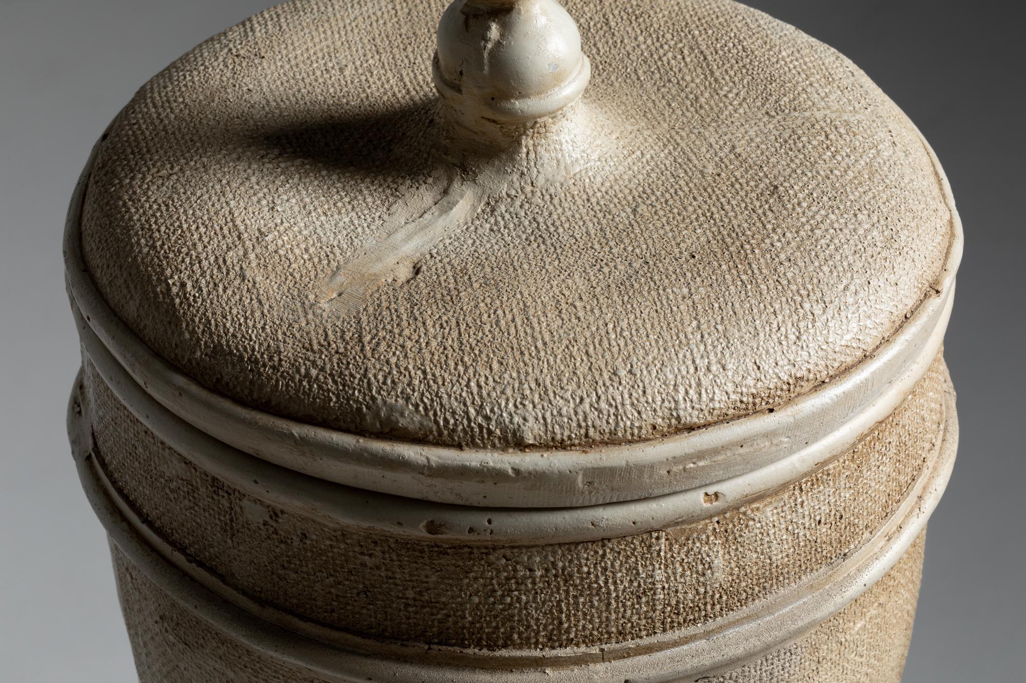 Cette paire d'urnes décoratives européennes du XXe siècle présente un design néoclassique élégant et intemporel. Fabriquées avec une finition recouverte de plâtre, elles présentent une esthétique raffinée qui rappelle l'antiquité classique. Chaque