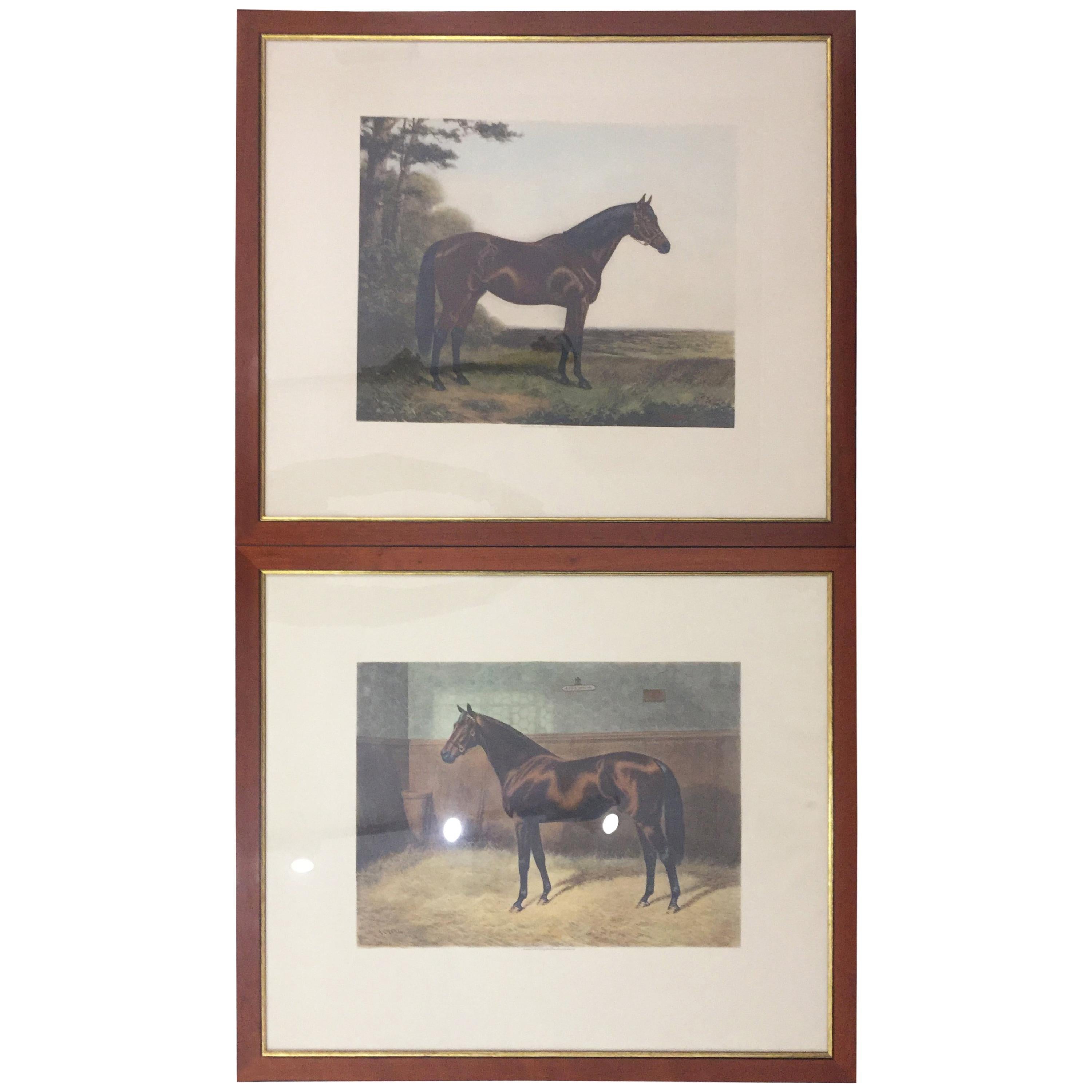Pair of 20th Century English Prints Horses Walnut Frame by A C Havell For Sale