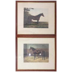Pair of 20th Century English Prints Horses Walnut Frame by A C Havell