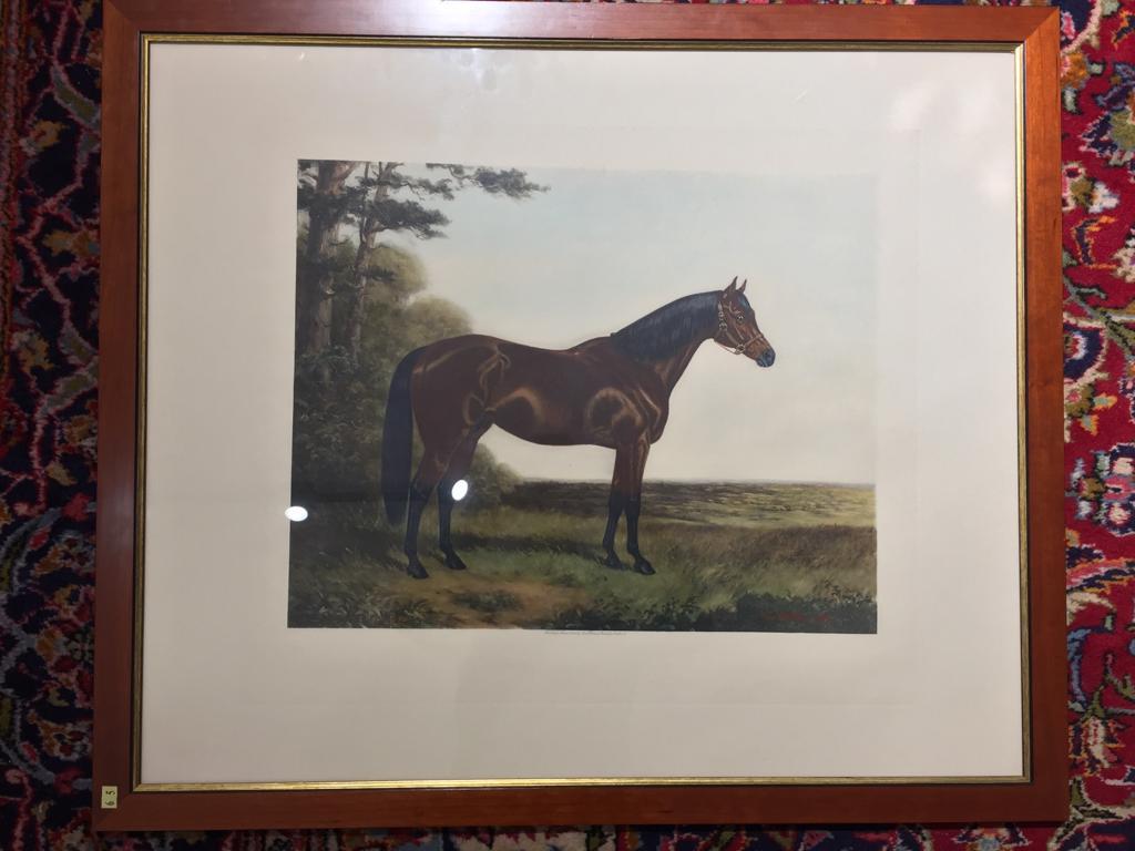 Pair of 20th Century English Prints Horses Walnut Frame by A C Havell In Excellent Condition For Sale In Toledo, Castilla La Mancha