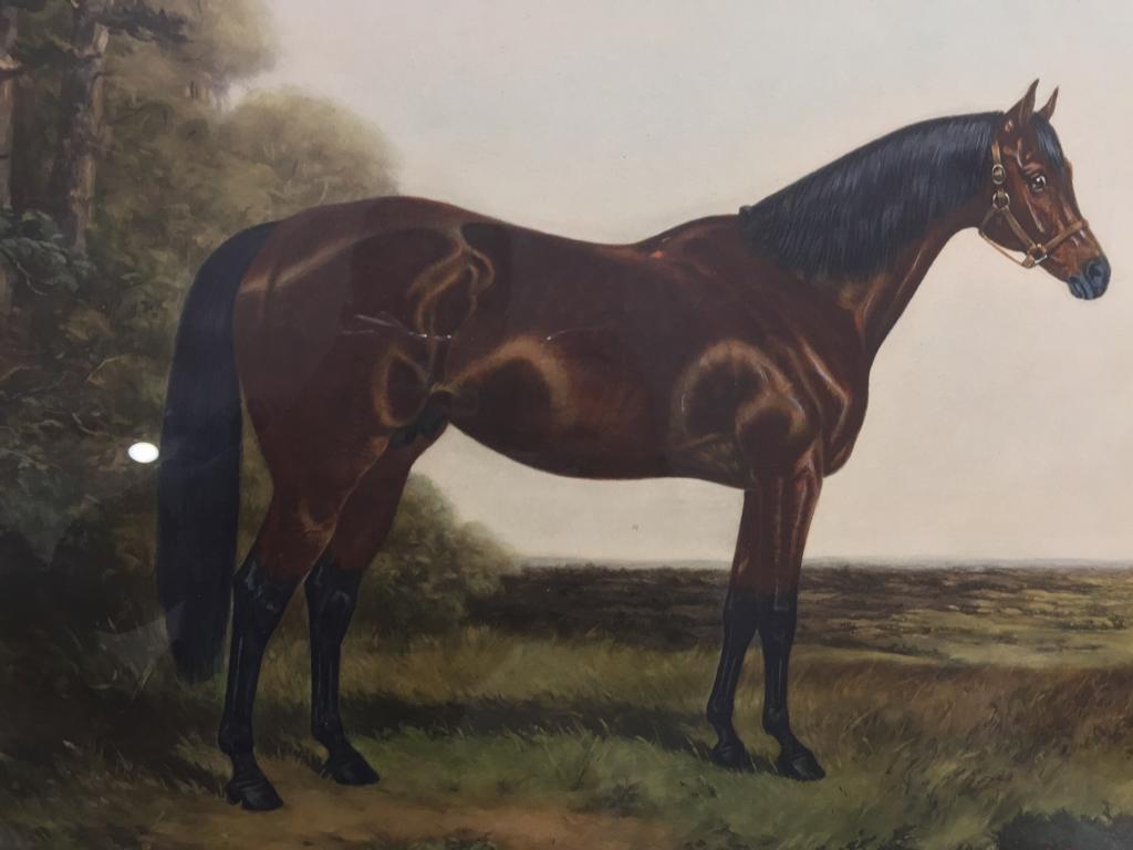 Late Victorian Pair of 20th Century English Prints Horses Walnut Frame by A C Havell For Sale