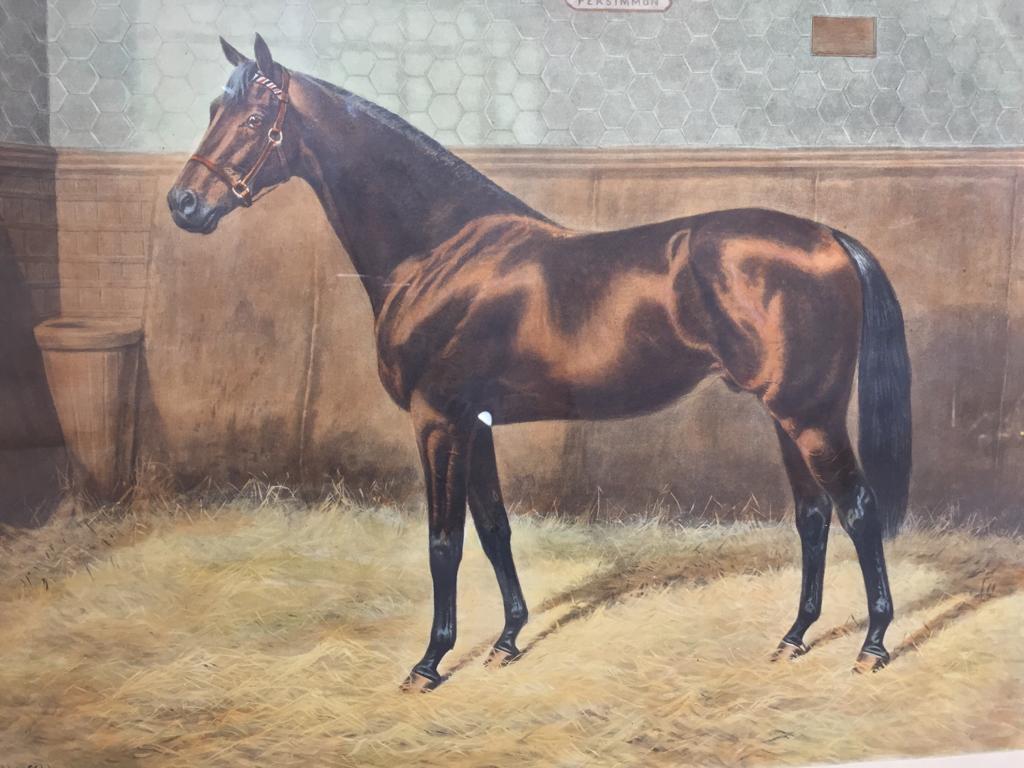 Pair of 20th Century English Prints Horses Walnut Frame by A C Havell For Sale 1