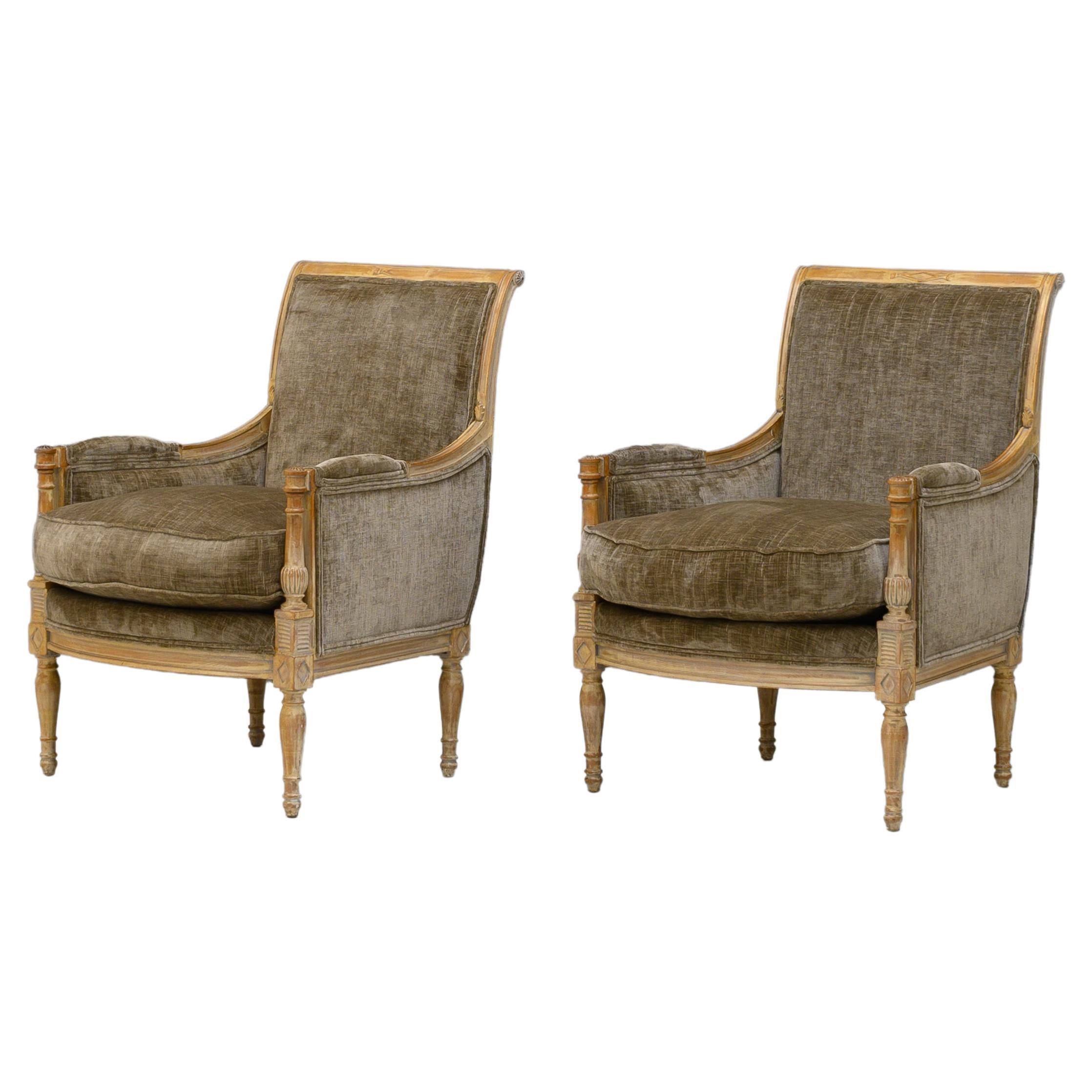 Pair of 20th Century French Armchairs For Sale at 1stDibs