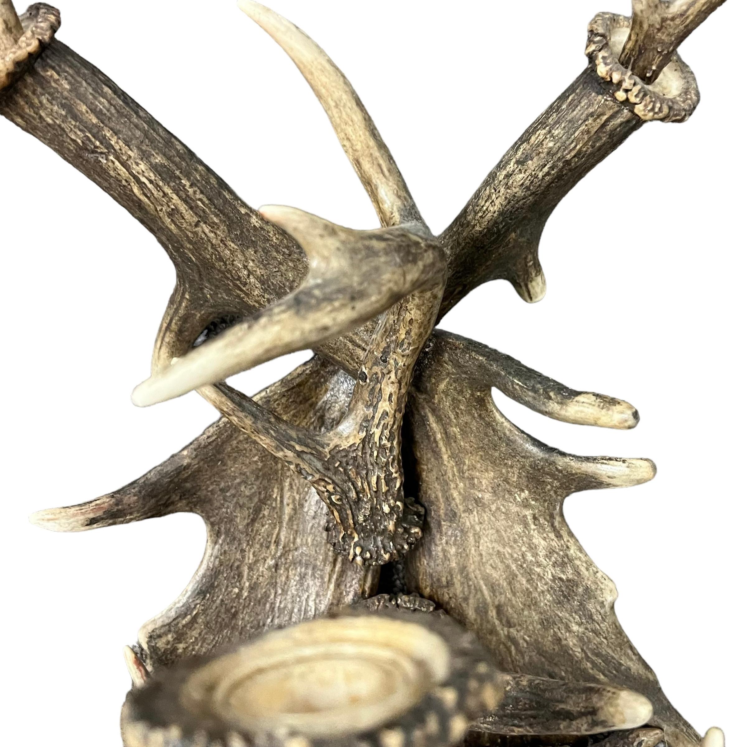 Pair of 20th Century German Antler Sconces For Sale 6