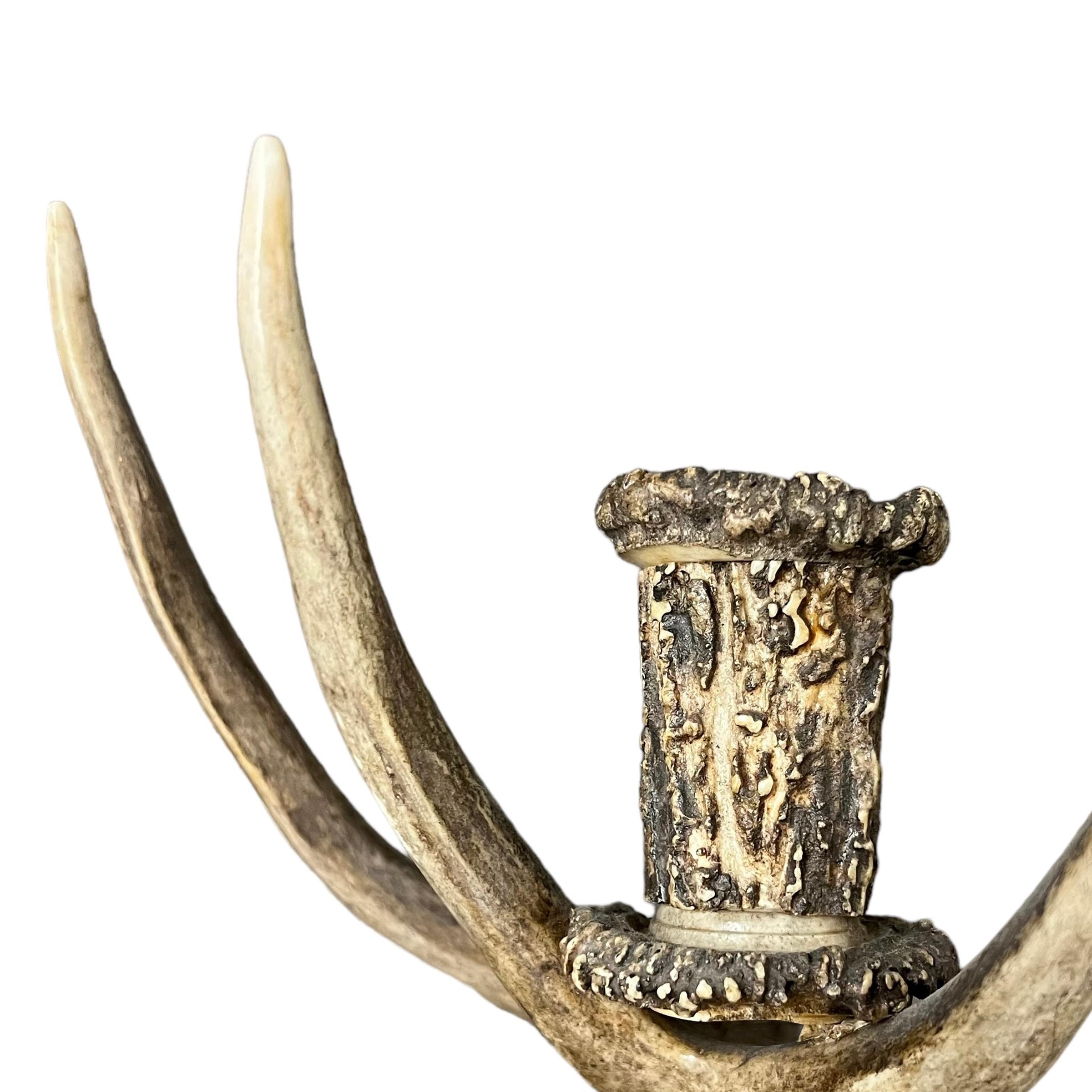 Pair of 20th Century German Antler Sconces For Sale 10