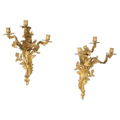 Pareja de apliques franceses de bronce dorado del siglo XX, años 50