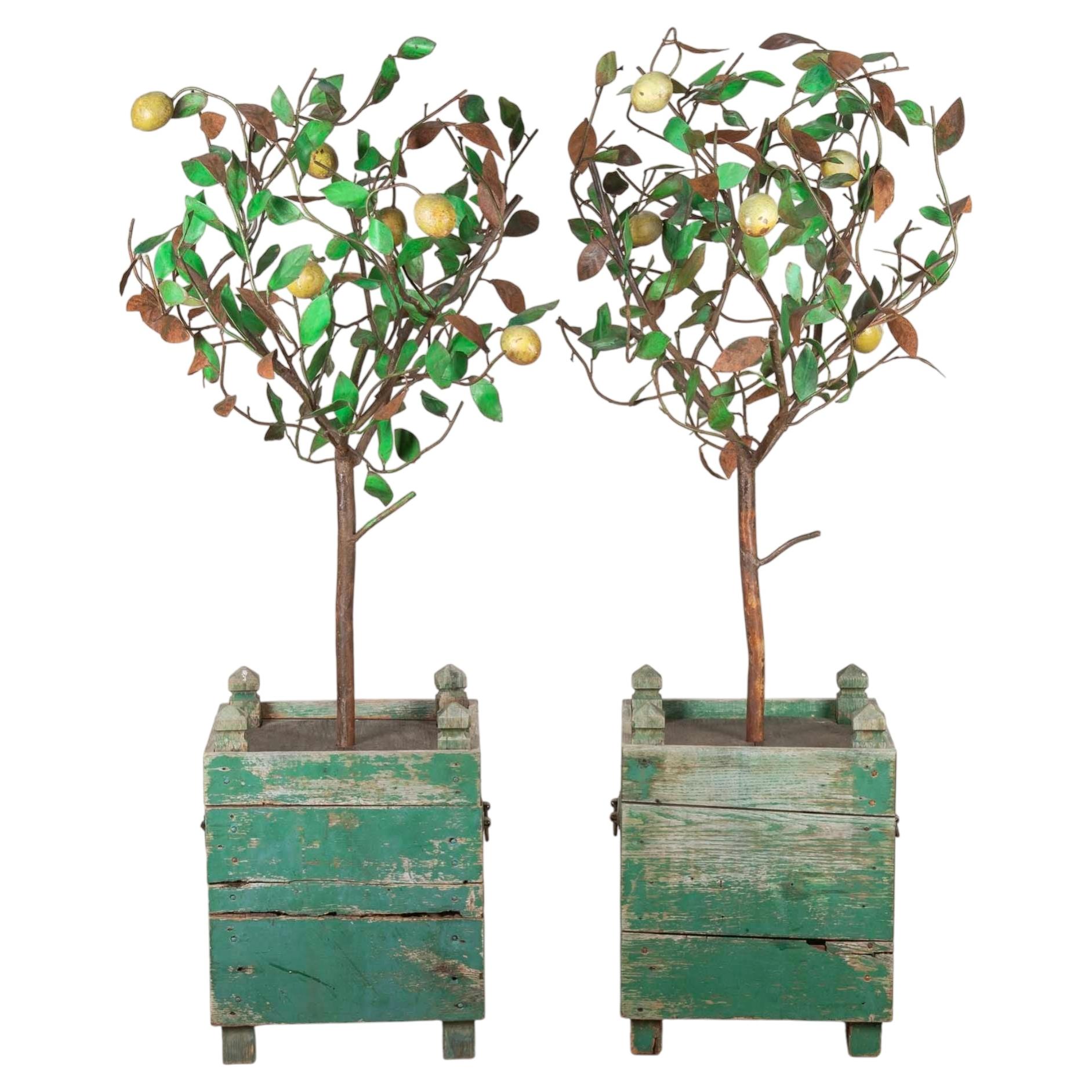 Pair of 20th Century Italian Lemon Tree Planters For Sale