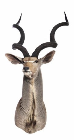 PAIR OF 20th Century KUDU HUNTING TROPHIES