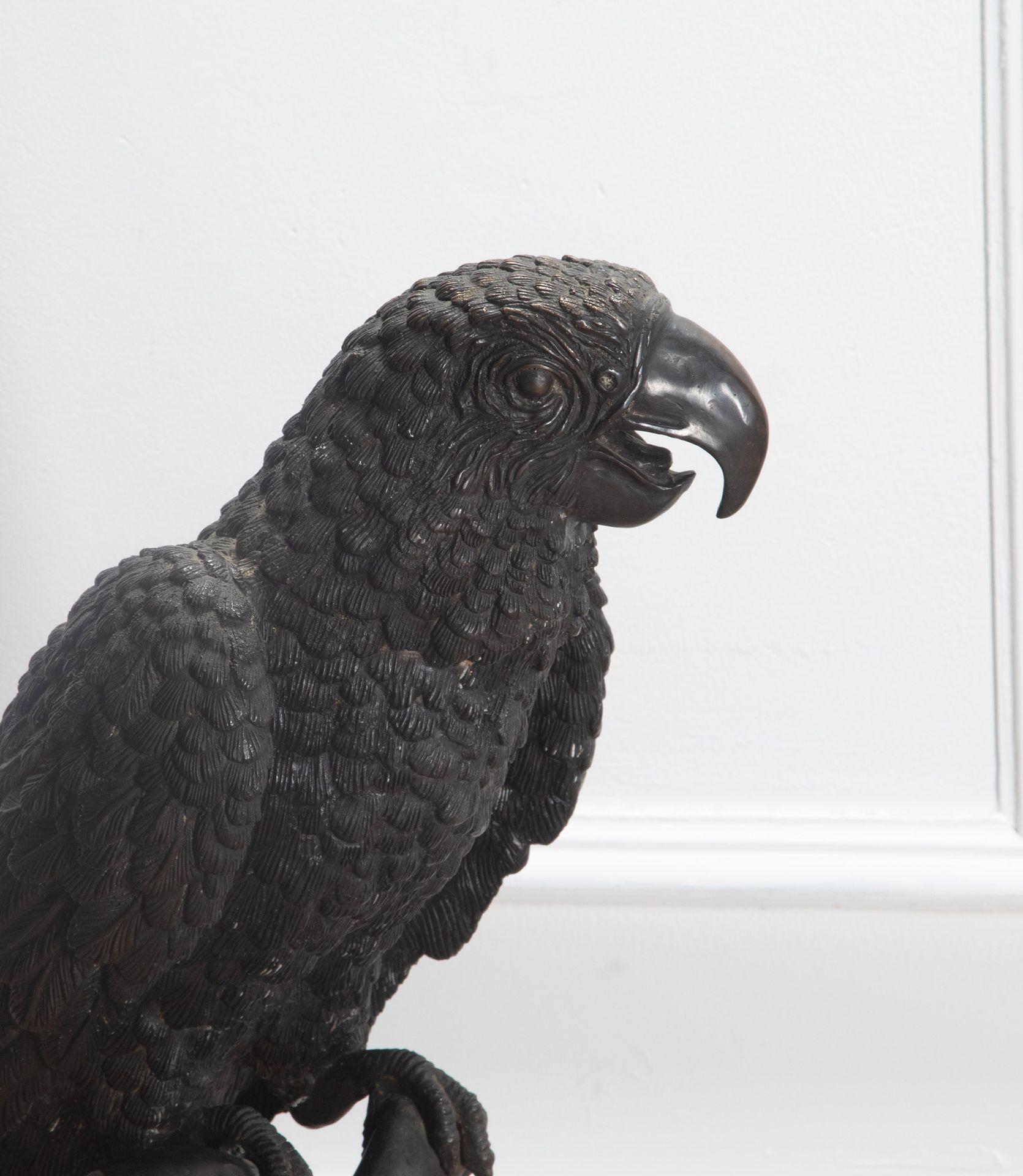 European Pair of 20th Century Life Size Bronze Macaw Birds For Sale
