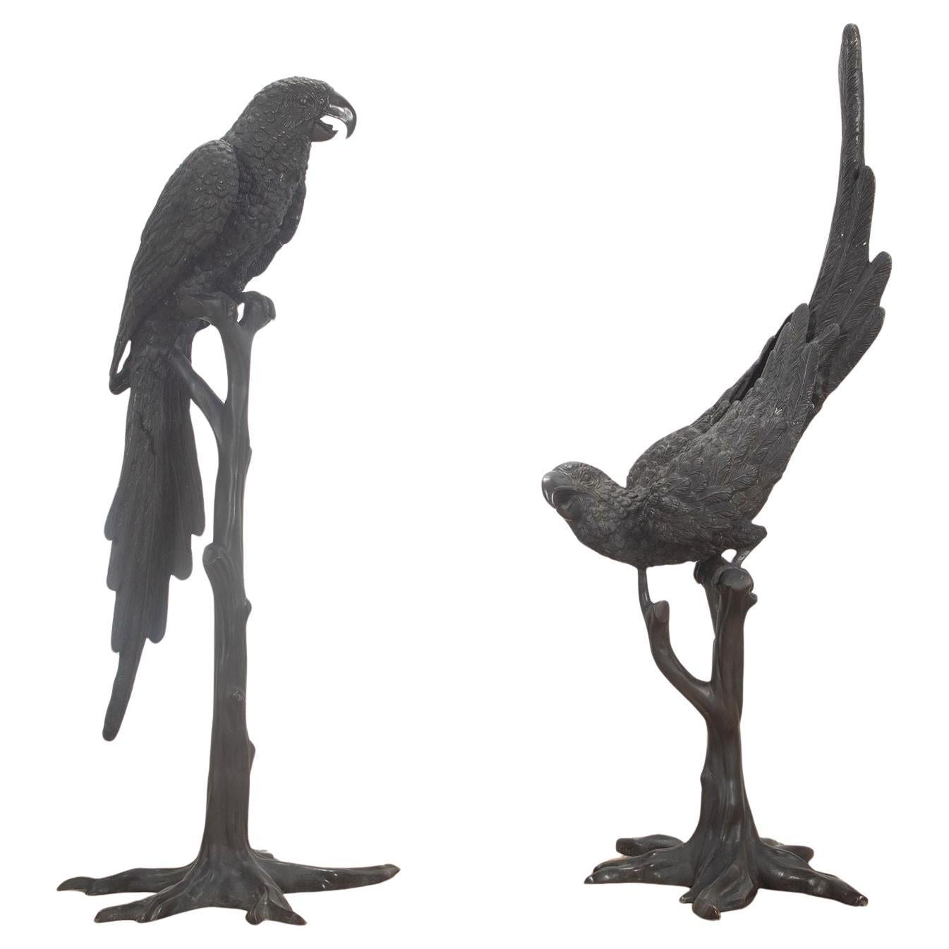 Pair of 20th Century Life Size Bronze Macaw Birds For Sale