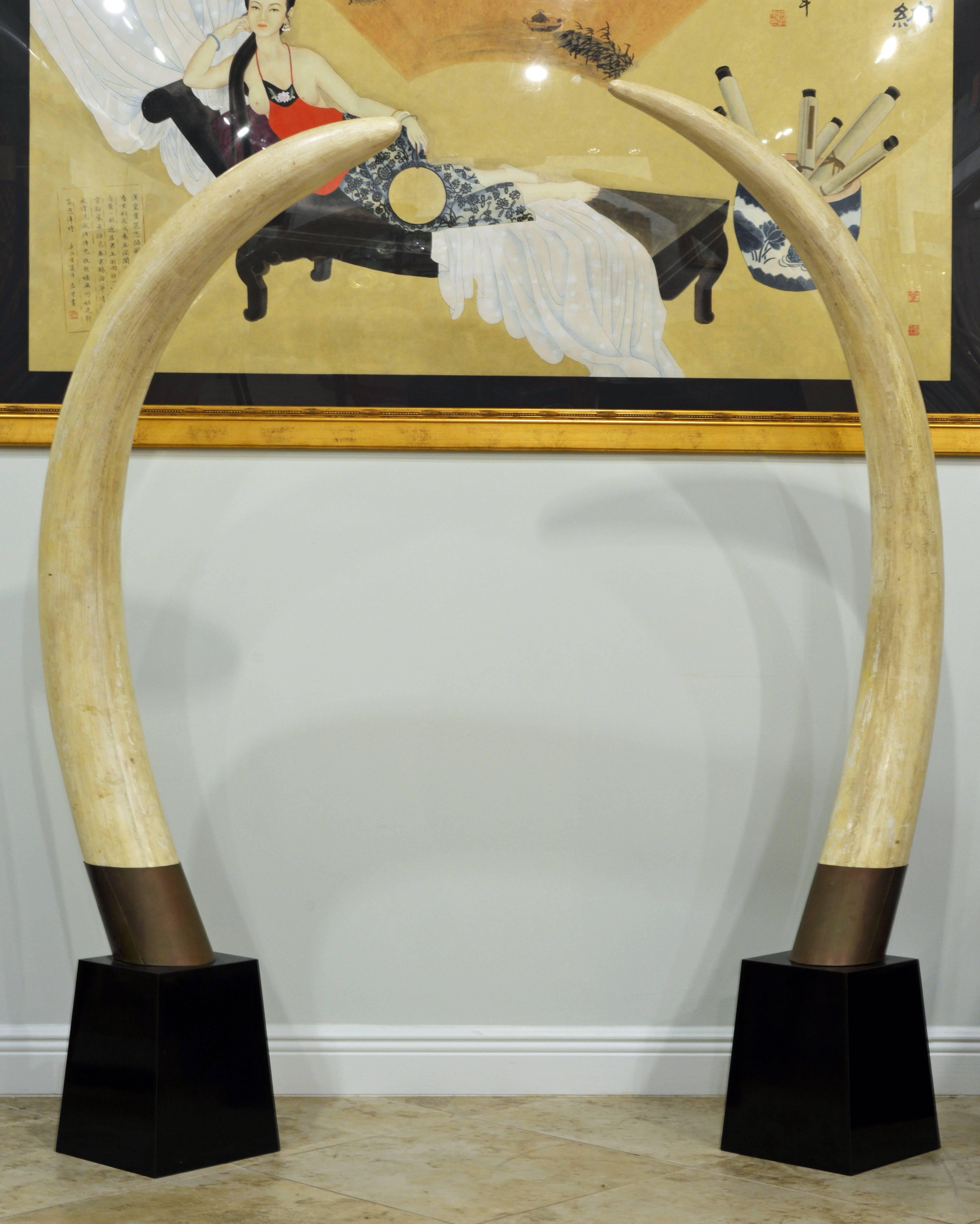 Standing 68 inches tall these faux elephant tusks make a great and environmentally sound statement. They are slightly different in shape and there is reason to believe that this pair is actually a replica of one animal's set of tusks since those are