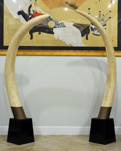 Pair of 20th Century Lifesize Faux Elephant Tusks on Black Conical Bases