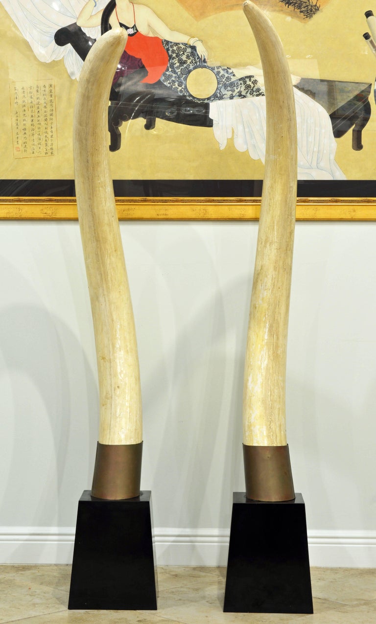 Pair of 20th Century Lifesize Faux Elephant Tusks on Black Conical