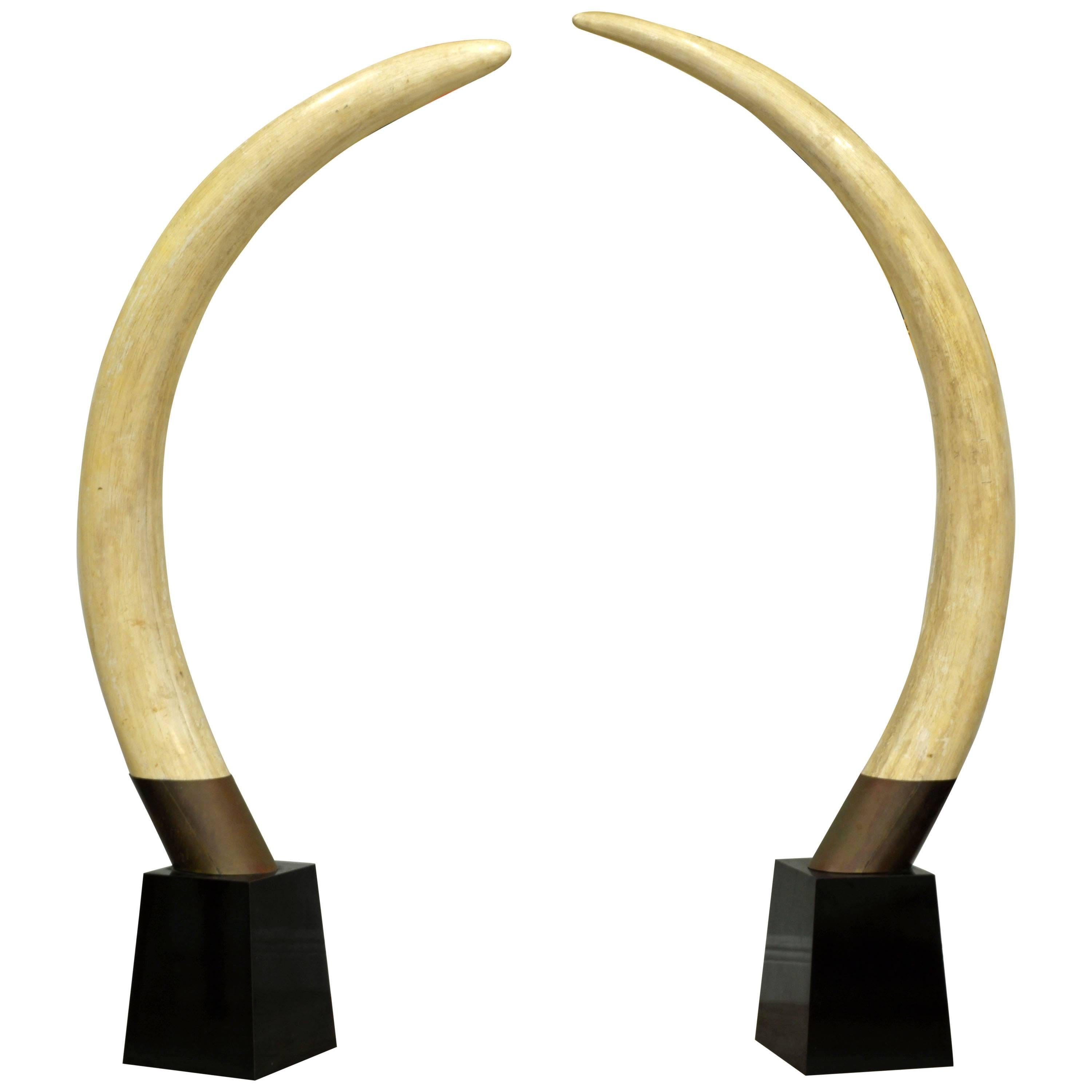Pair of 20th Century Lifesize Faux Elephant Tusks on Black Conical Bases