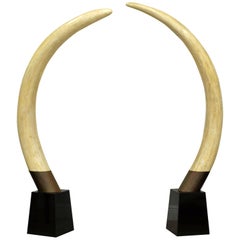Vintage Pair of 20th Century Lifesize Faux Elephant Tusks on Black Conical Bases