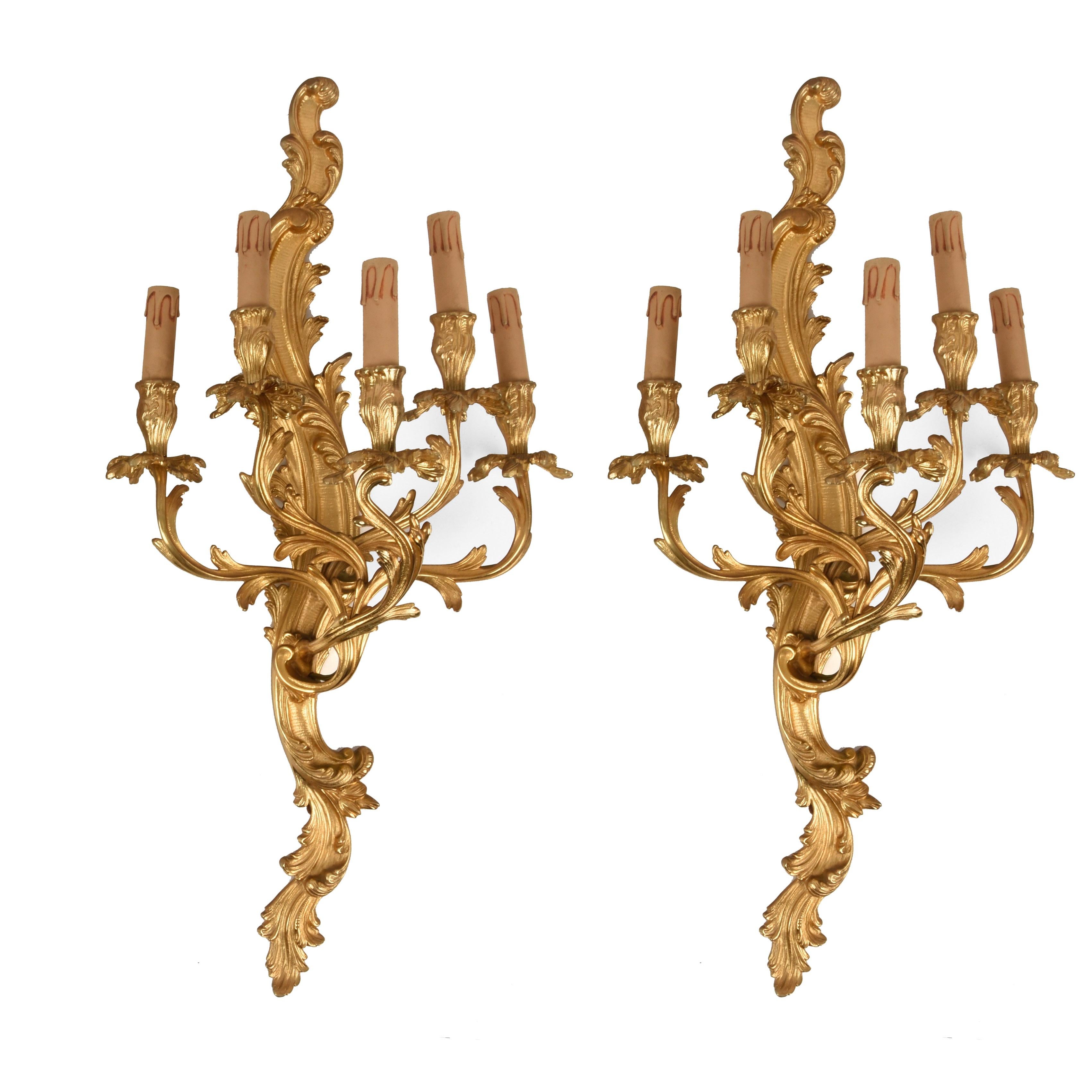 Somptueuse et grande paire d'appliques à 5 lumières en bronze doré. Ce fantastique ensemble a été fabriqué au début du XXe siècle dans le style Louis XV en France.

Cette paire luxueuse est décorée de feuilles d'acanthe et d'un thème floral avec