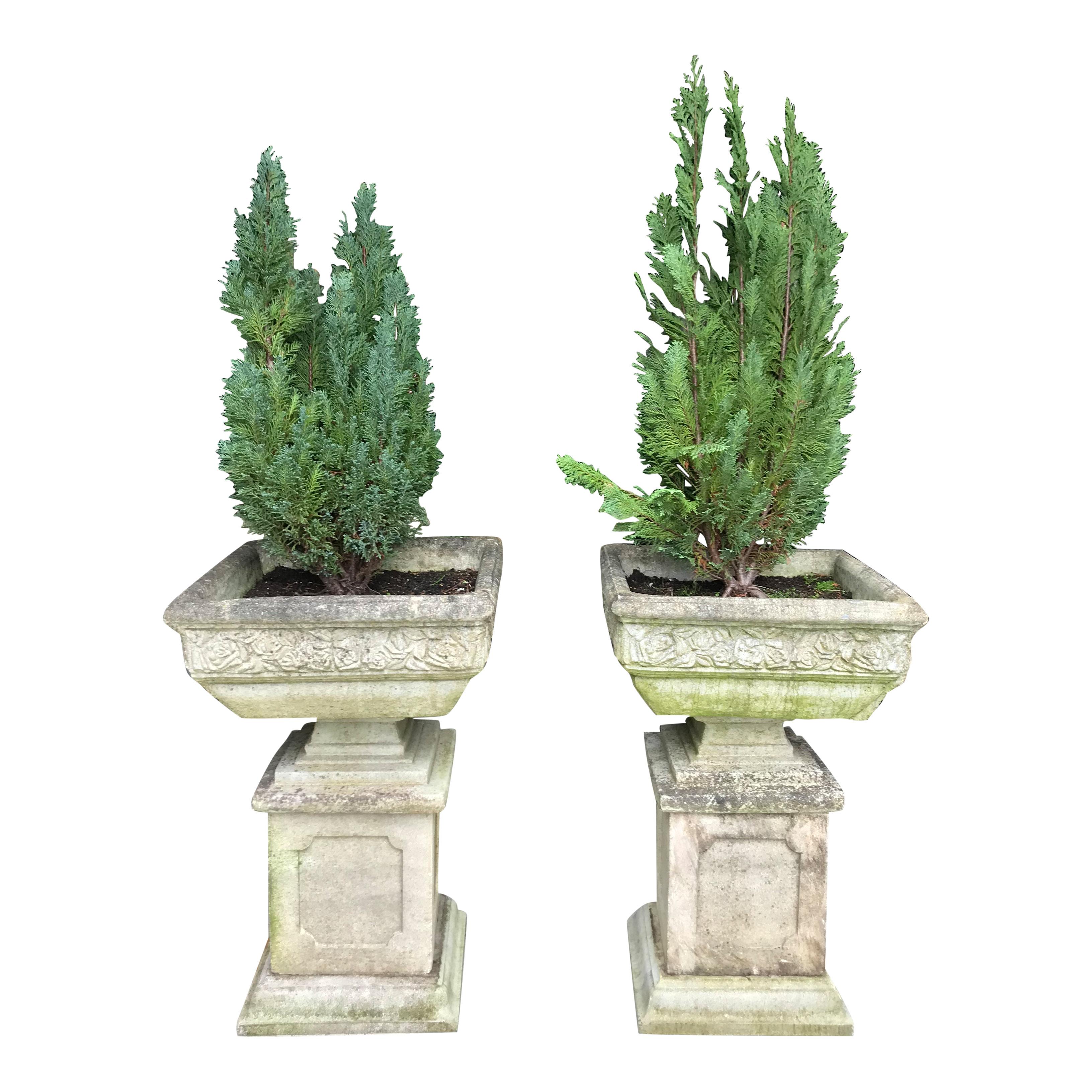 A pair of good size 20th century Garden recon stone planters on plinths. The planters have nicely weathered with age. Will make a nice addition to a garden or front of the home.
