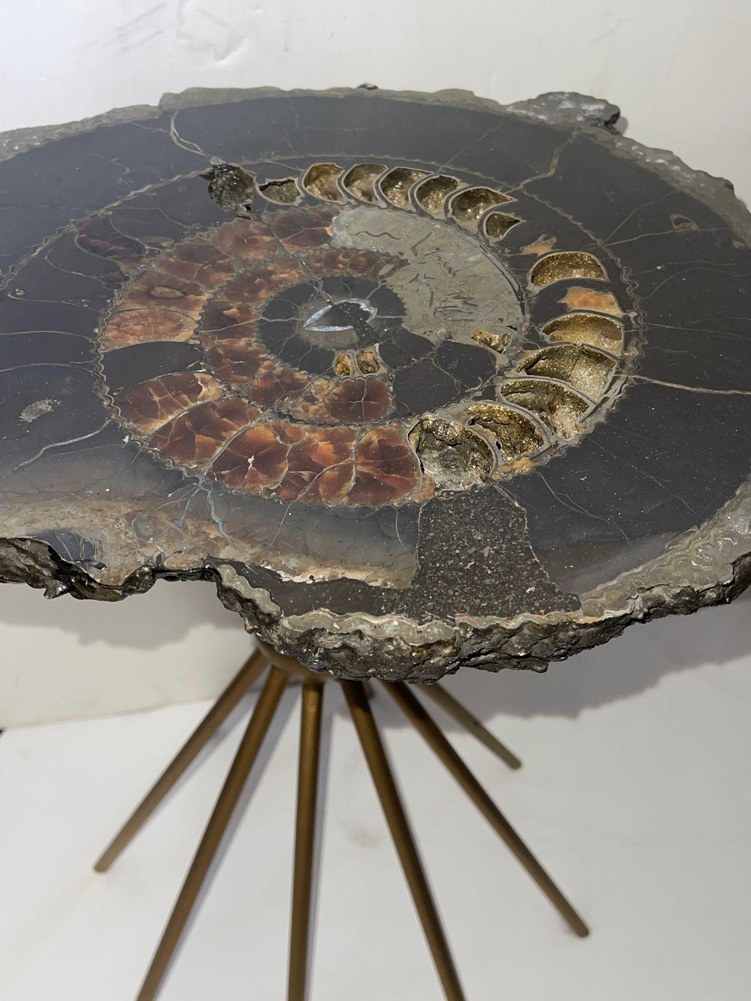 Pierre Paire de tables d'appoint russes Ammonite du 20ème siècle en vente