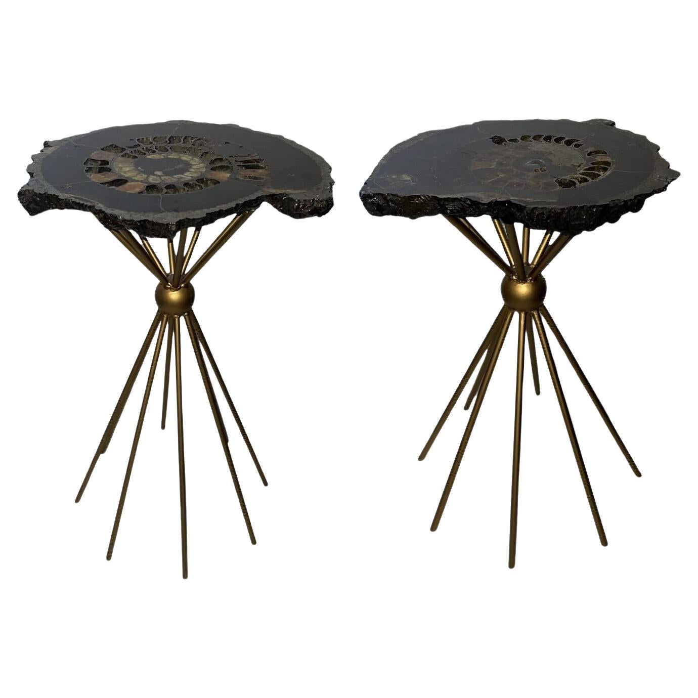 Pair of 20th Century Russian Ammonite Side Tables