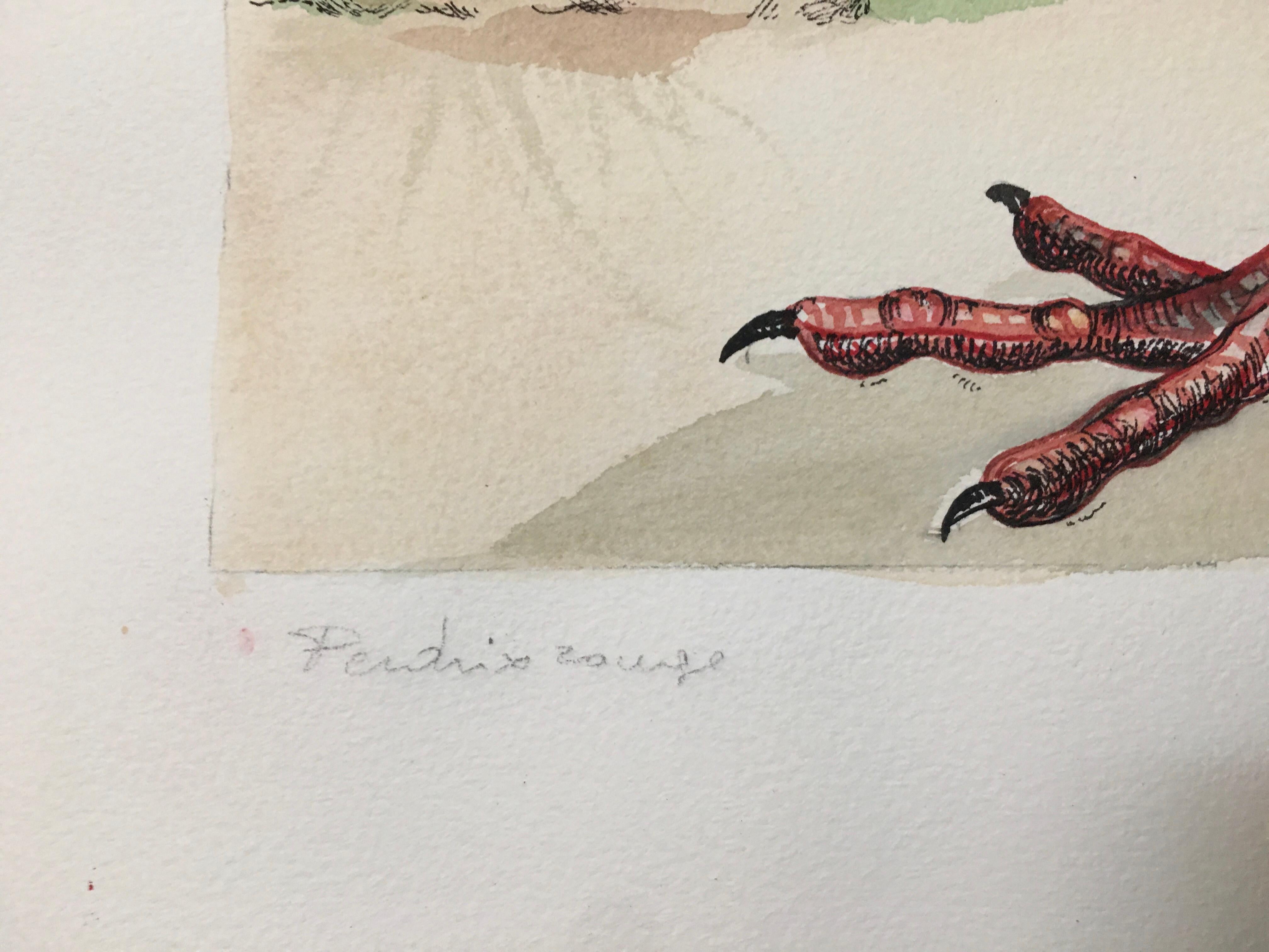 Pair of  Signed Animalier Watercolours 5