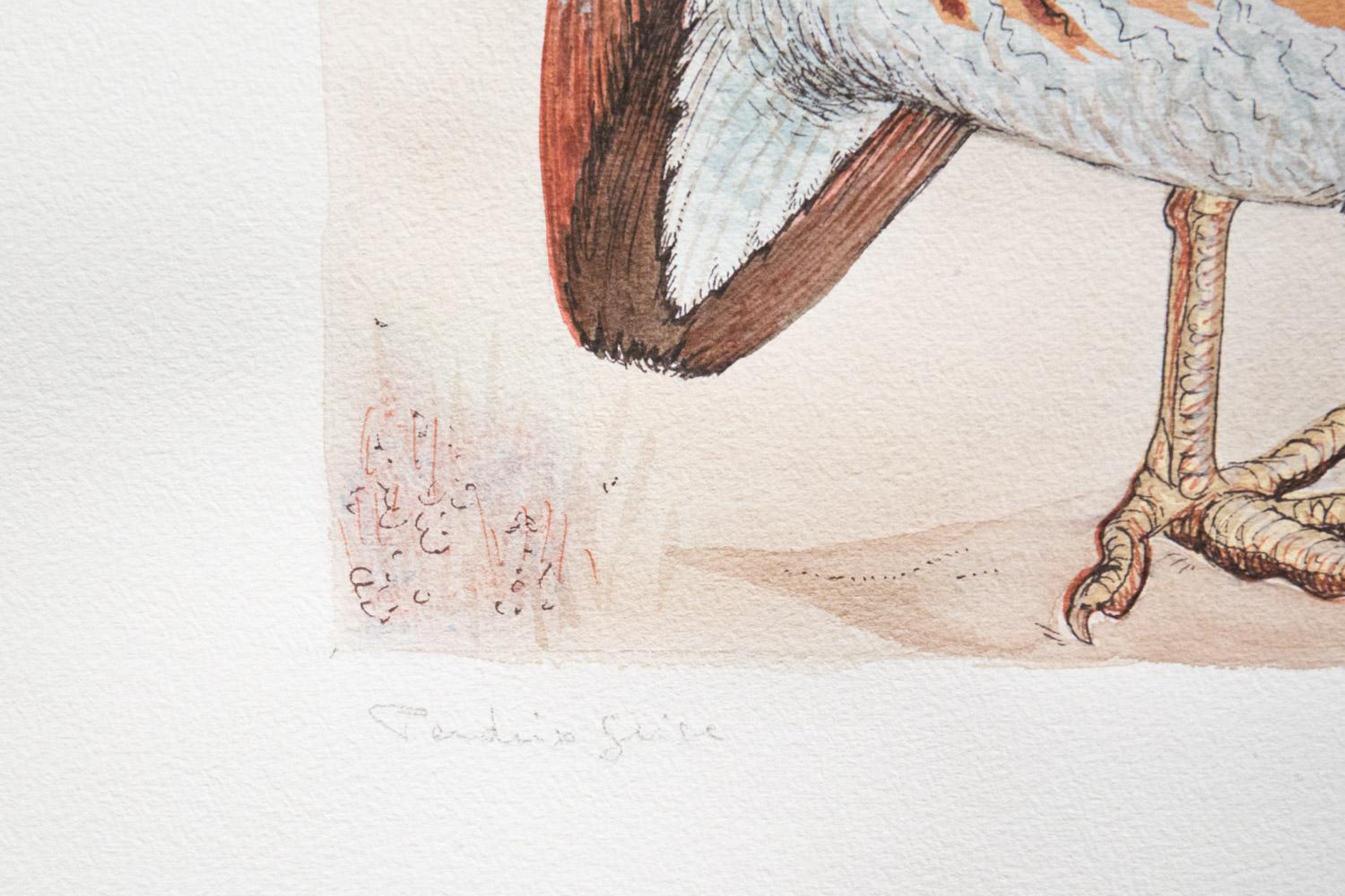 Pair of elegant watercolours
Original Animalier Subject 
20th Century 
Both Signed
Every item of our Gallery, upon request, is accompanied by a certificate of authenticity issued by Sabrina Egidi official Expert in Italian furniture for the Chamber