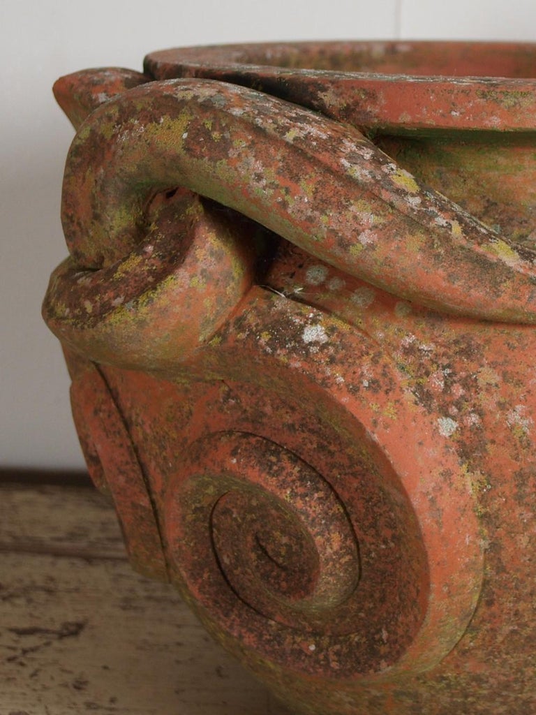 Pair of 20th Century Terracotta Snake / Cobra Garden ...