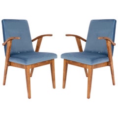 Paire de chaises bleues vintage du XXe siècle par Mieczyslaw Puchala, années 1960