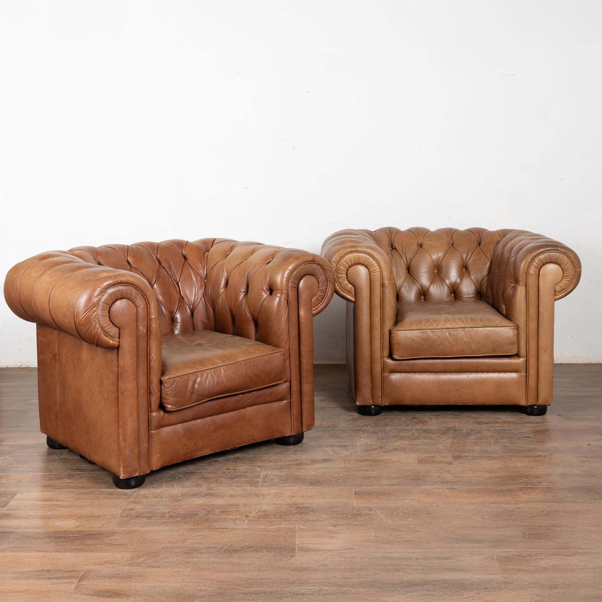 Coppia di poltrone Chesterfield in pelle marrone vintage del XX secolo, con schienali imbottiti, auto-piping e piedi a castello in legno. La pelle presenta l'usura prevista, tra cui graffi, screpolature, macchie, graffi superficiali e scalfitture.