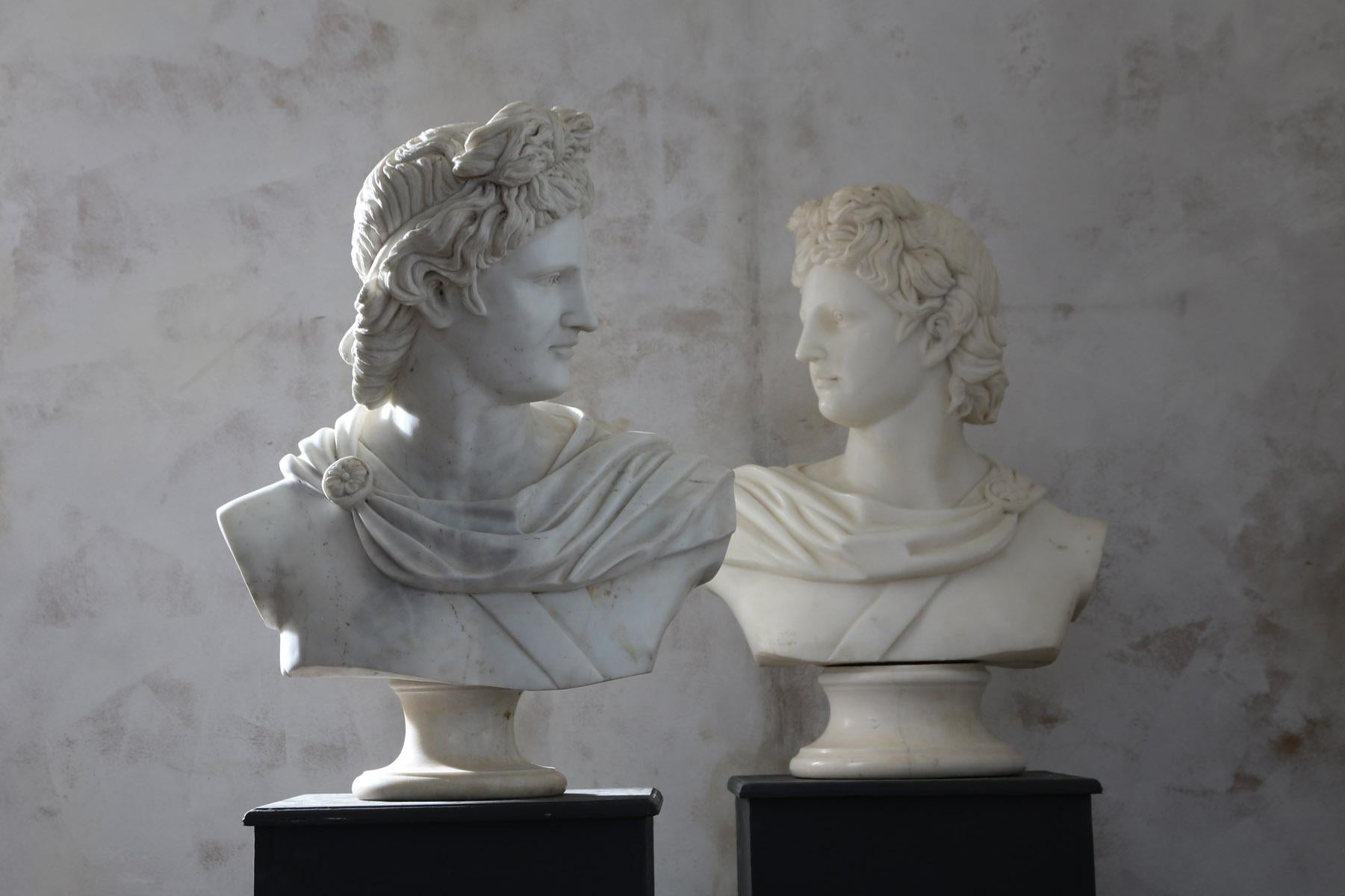Pair of 20th century belvedere busts.