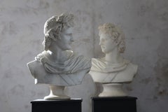 Pair of 20th Century Apollo Belvedere Busts