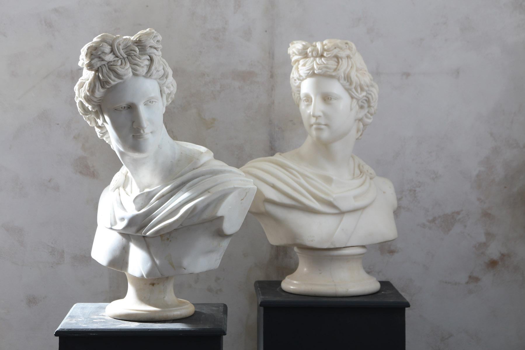 European Pair of 20th Century Apollo Belvedere Busts