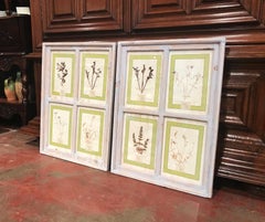 Pair of 21st Century Italian Dried Botanical Flowers in Painted Frames