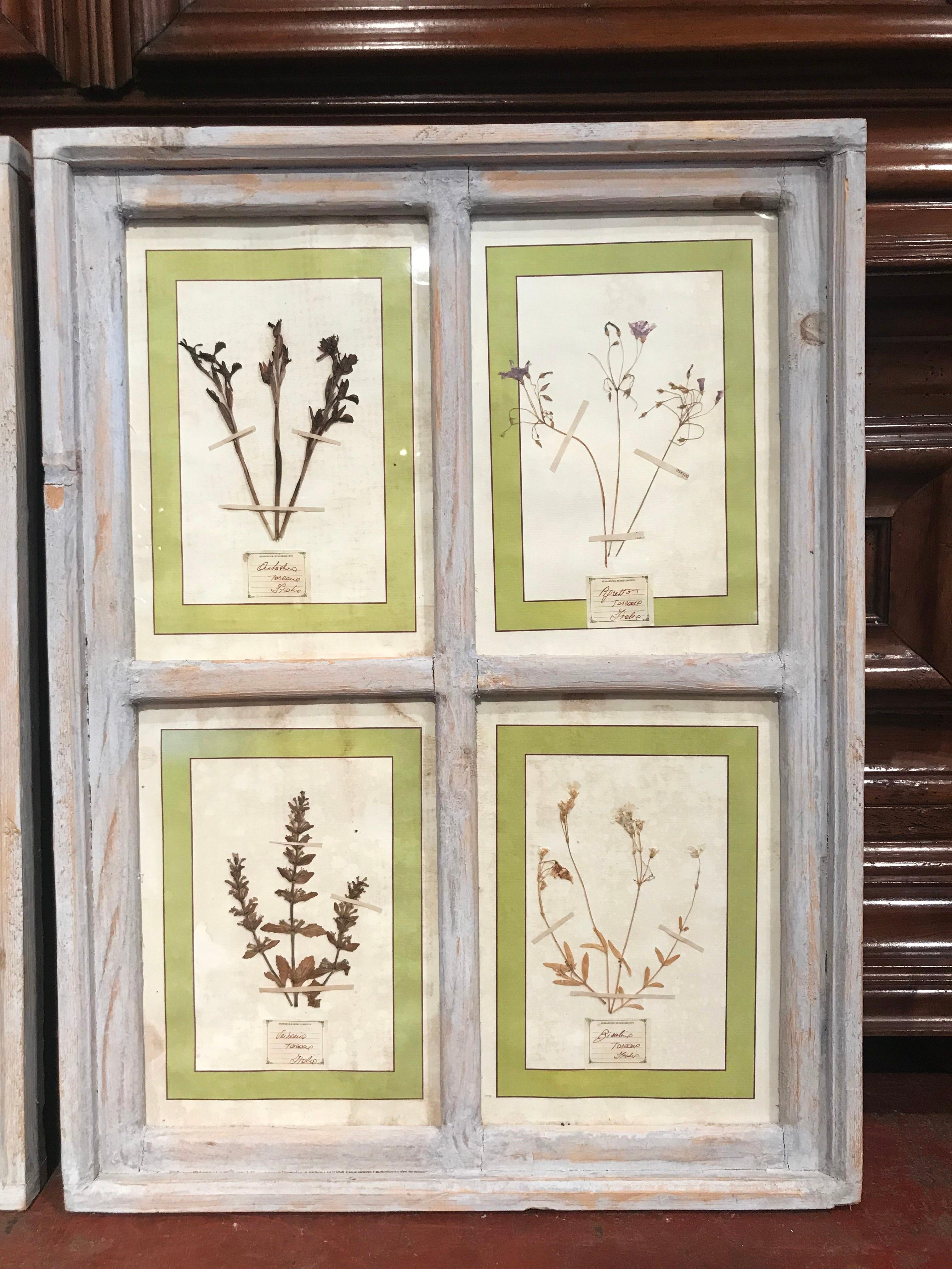 Pair of 21st Century Italian Dried Botanical Flowers in Painted Frames In Excellent Condition In Dallas, TX