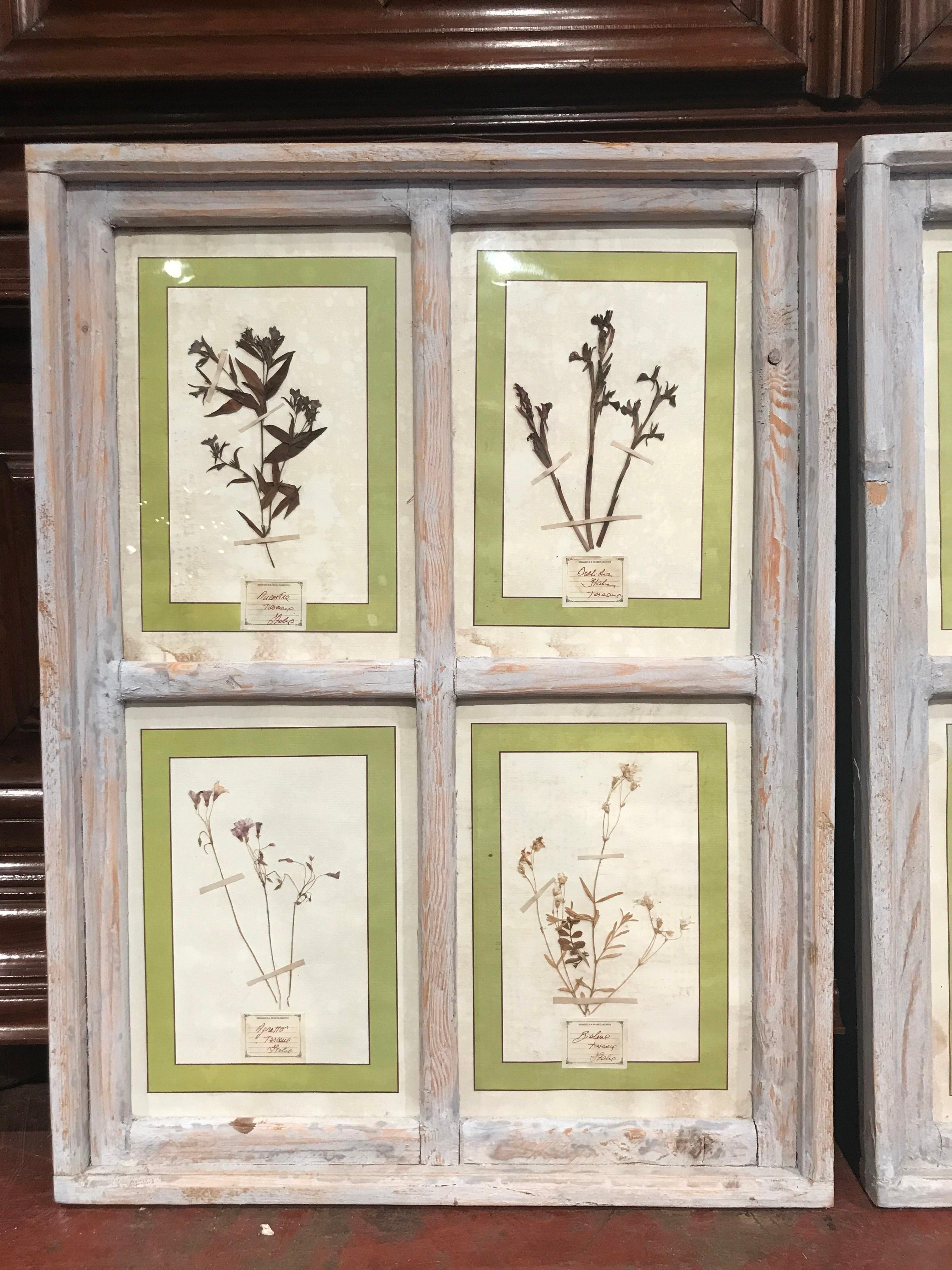 Contemporary Pair of 21st Century Italian Dried Botanical Flowers in Painted Frames