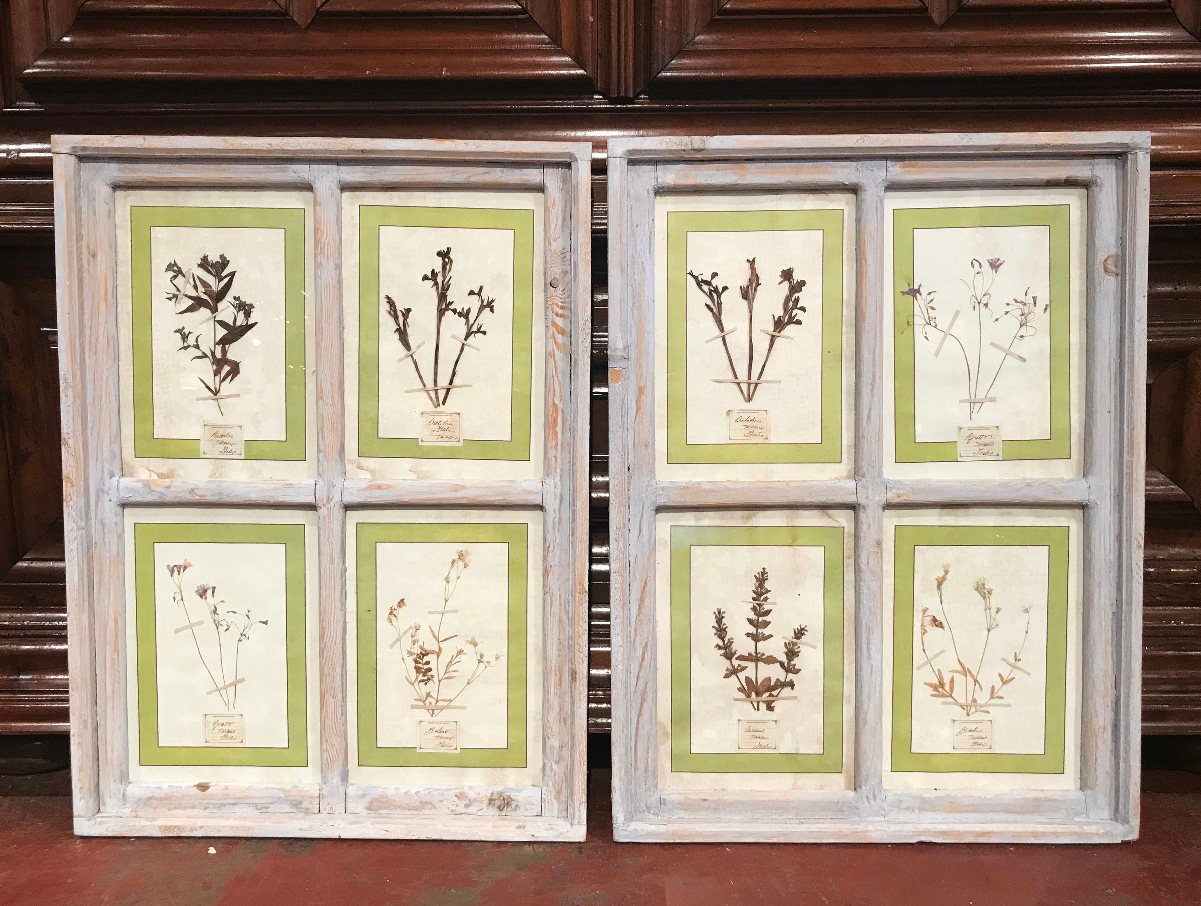 Glass Pair of 21st Century Italian Dried Botanical Flowers in Painted Frames