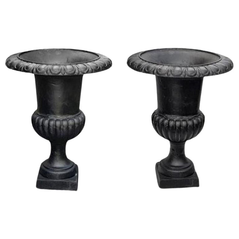Pair of 29" French Cast Iron Urn Black Planters