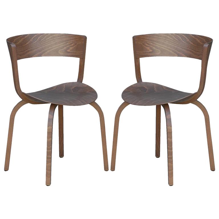 Pair of 404 F chairs by Stefan Diez for Thonet