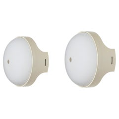 Pair of 4332 Wall/Ceiling Lights by Gian Emilio, Piero & Anna Monti for Kartell