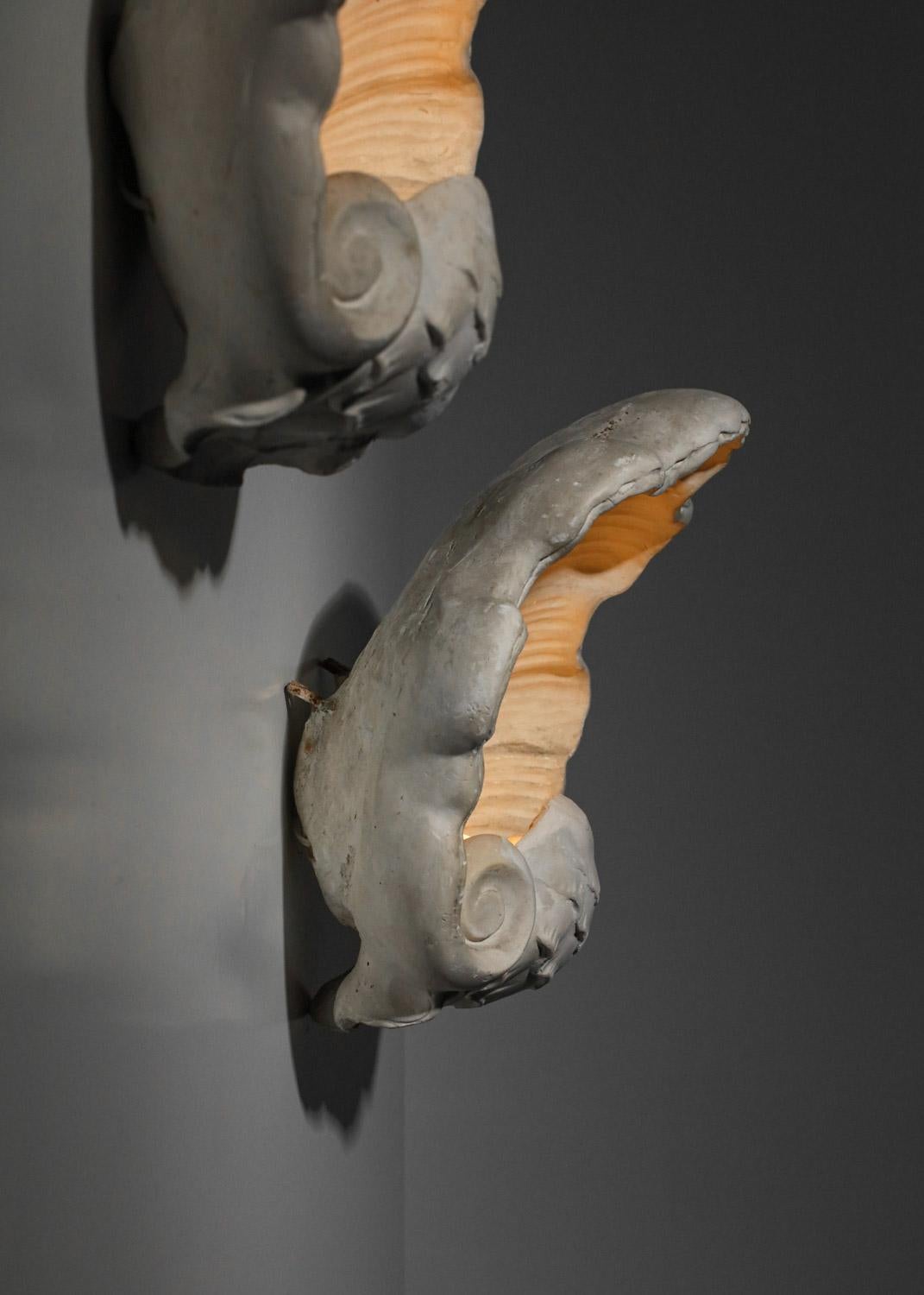 pair of 50's shell sconces in plaster Serge Roche style  9