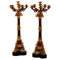 Paar 6-flammige Kandelaber aus vergoldeter Bronze, 19. Jahrhundert
