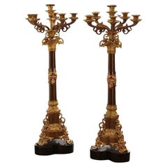 Coppia di candelabri a 6 luci in bronzo dorato, XIX secolo